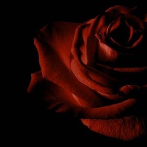 Meet your Posher, Ceecee